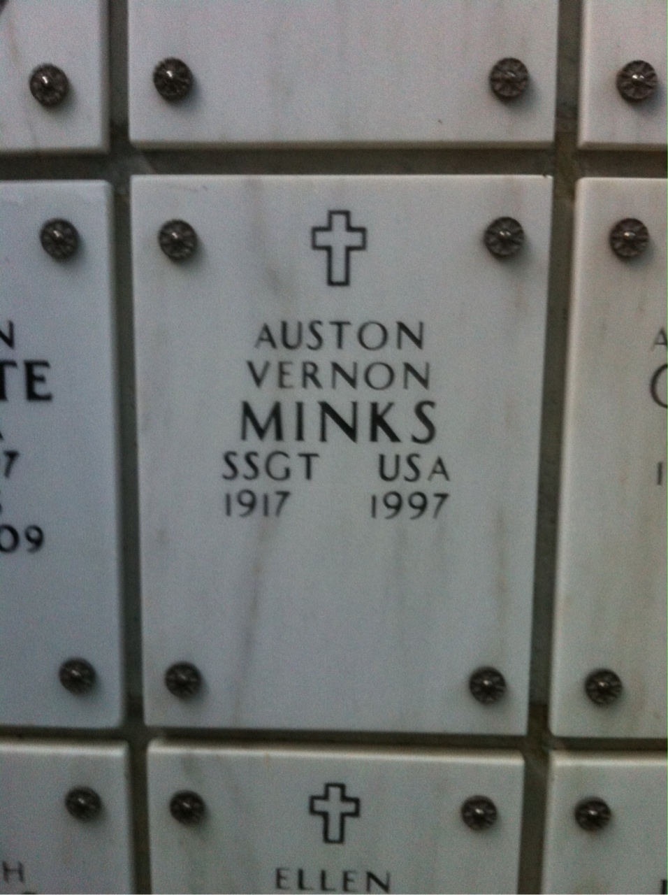 Auston Minks