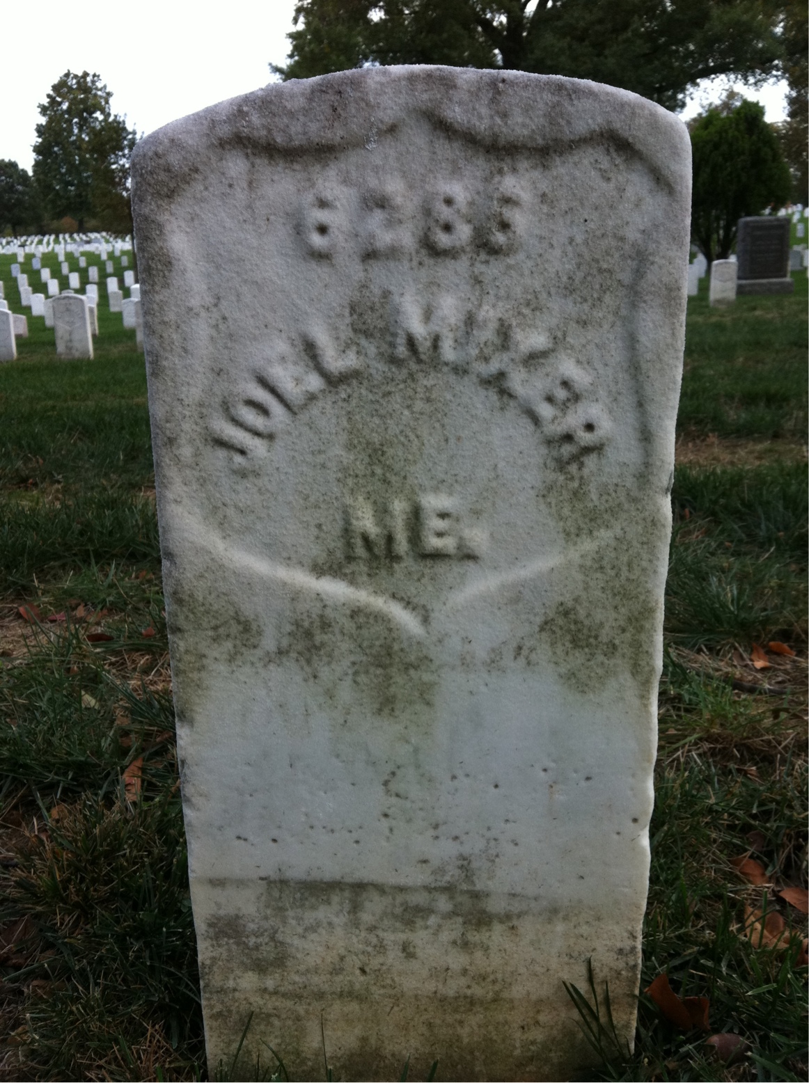 Joel Mixer