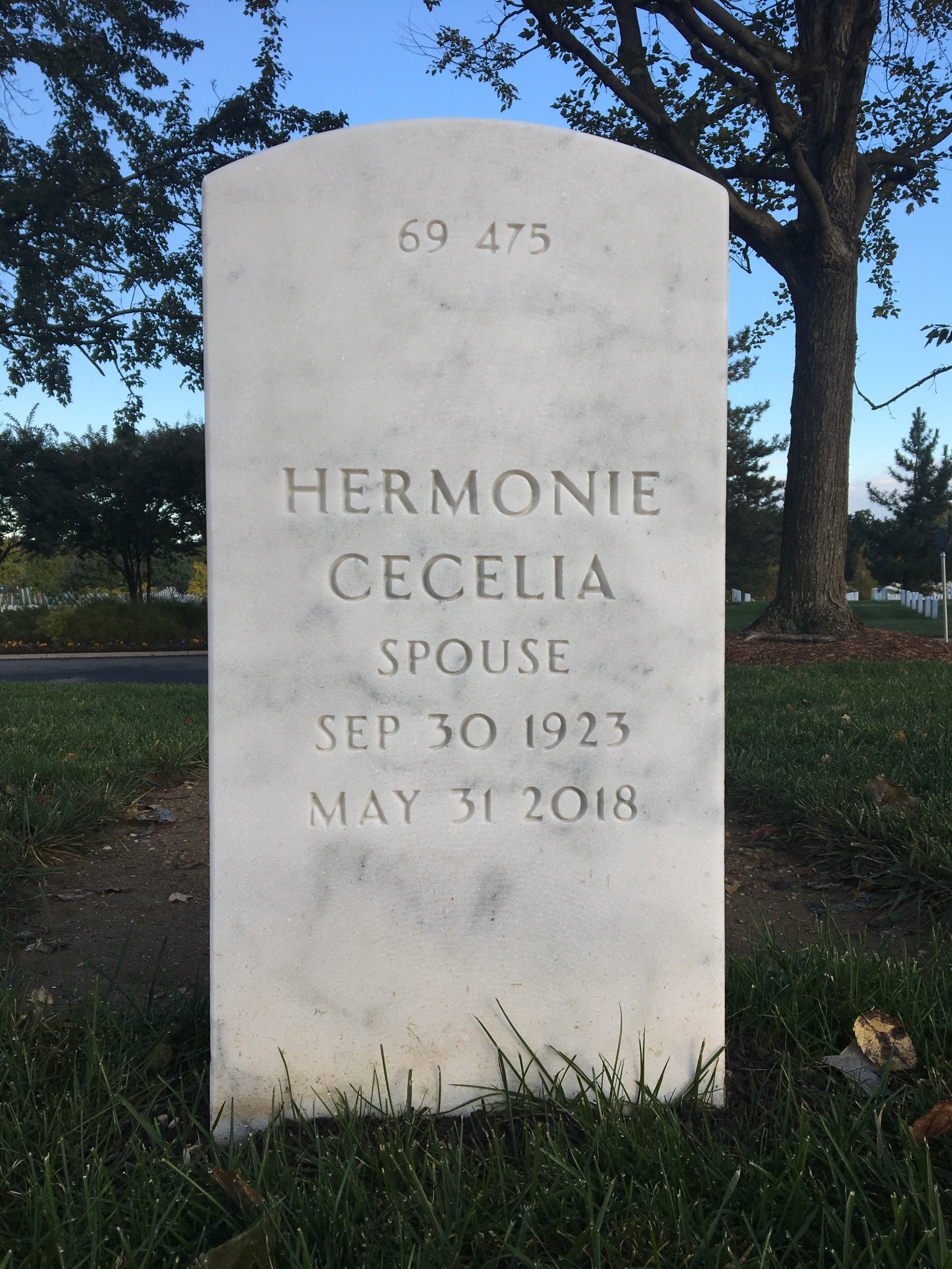 Back of headstone — Theodore Lachowicz