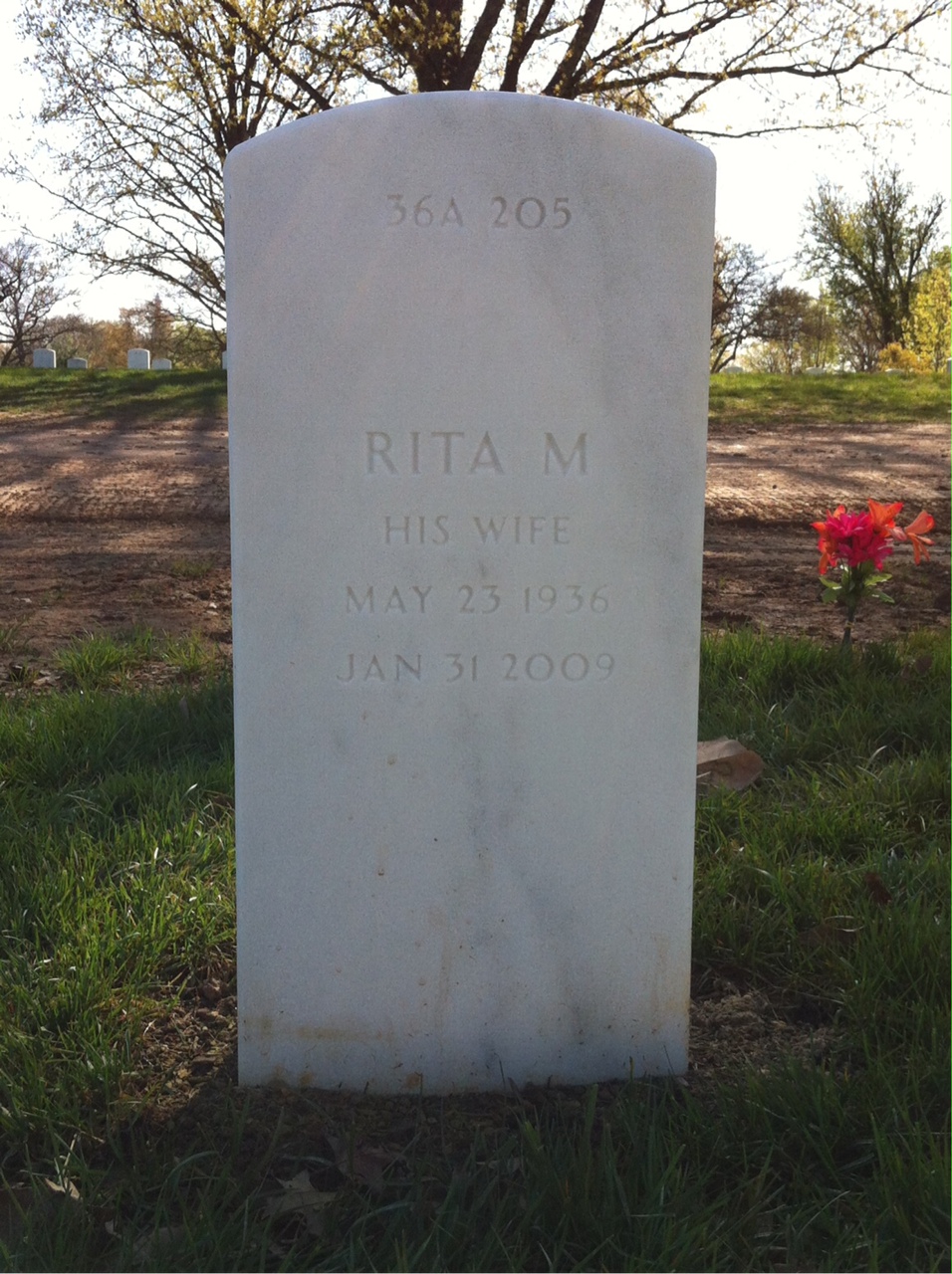 Back of headstone — James Murphy