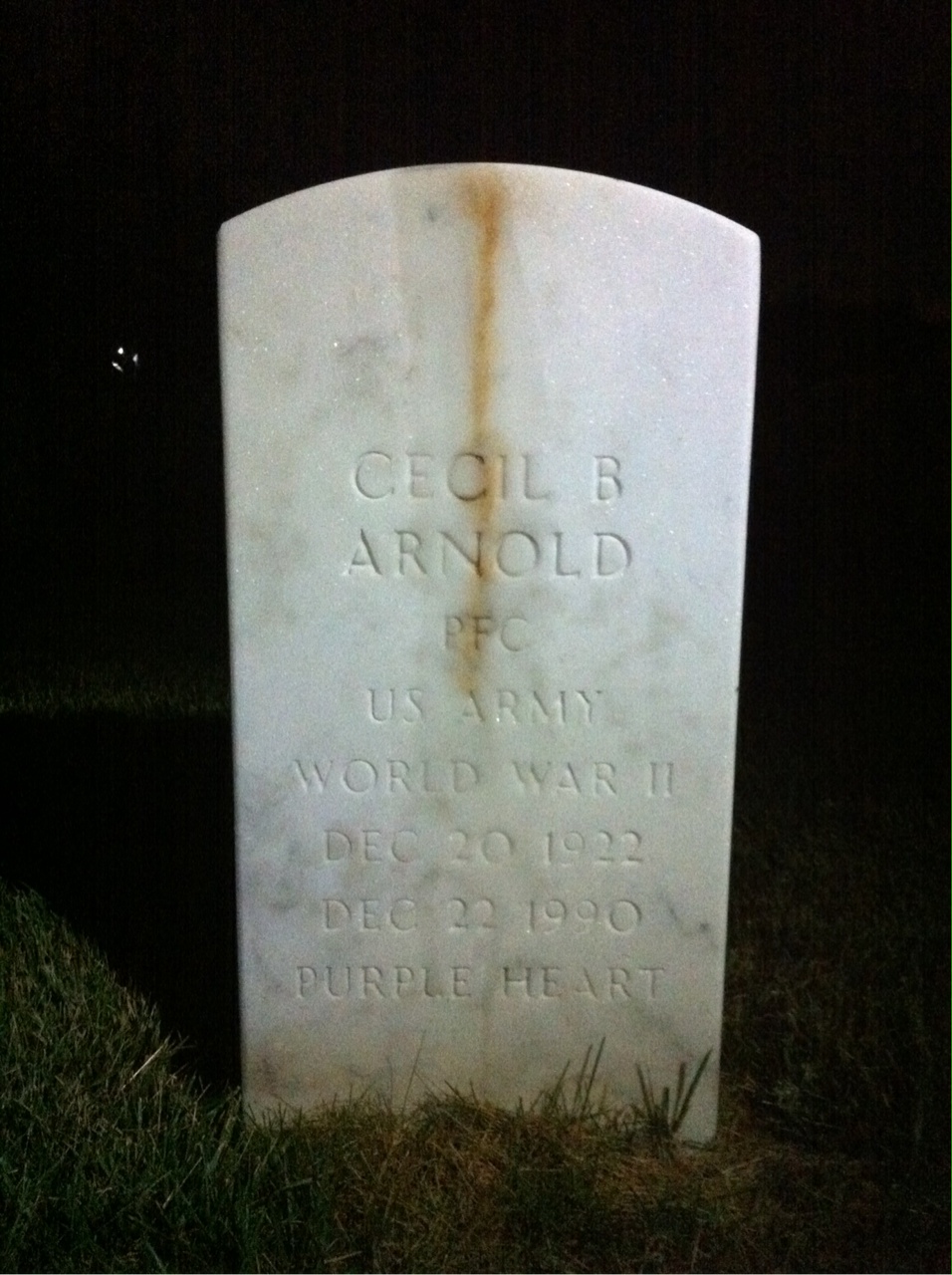 Cecil Arnold