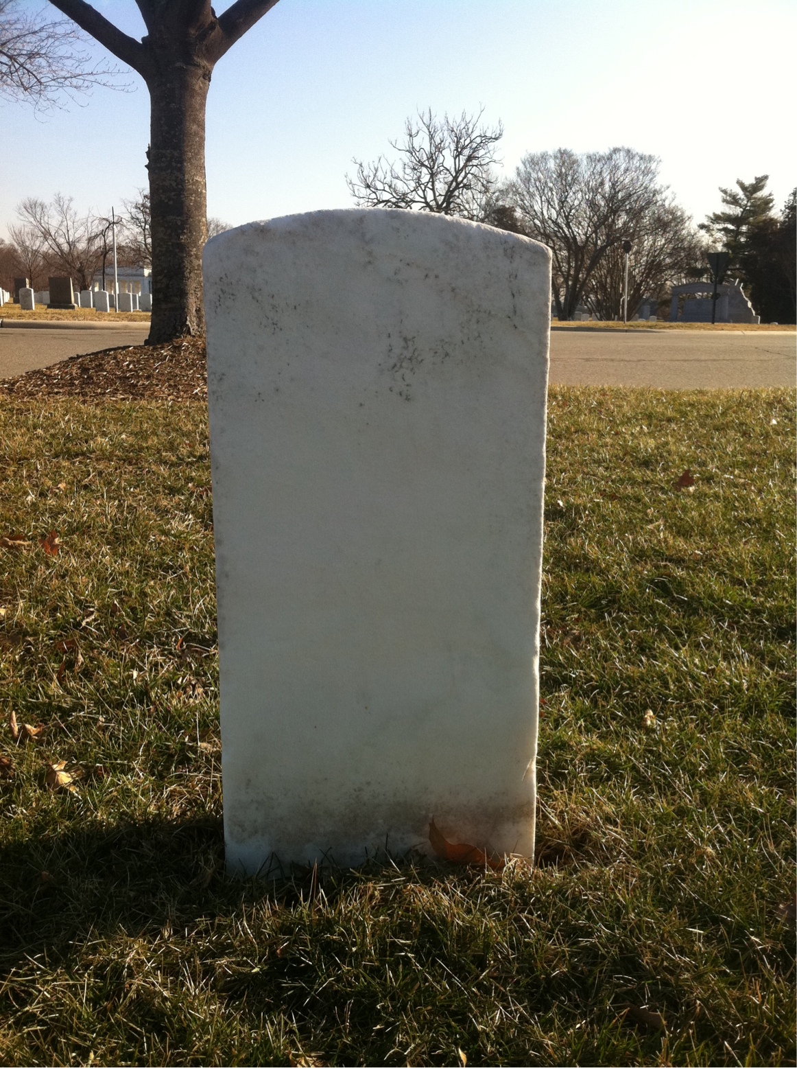 Back of headstone — William Ames