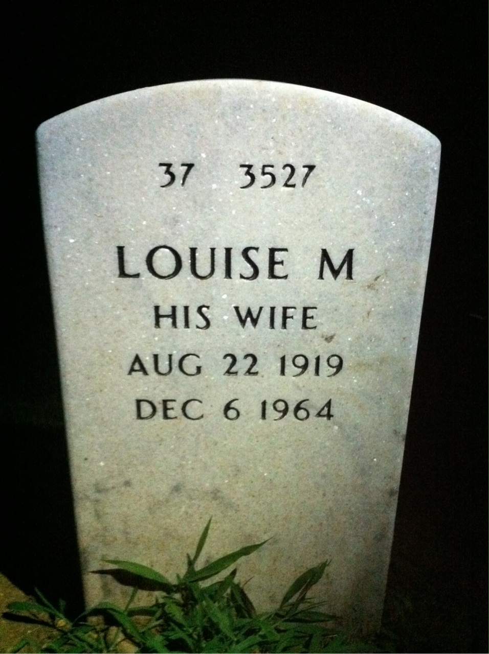 Back of headstone — James Low