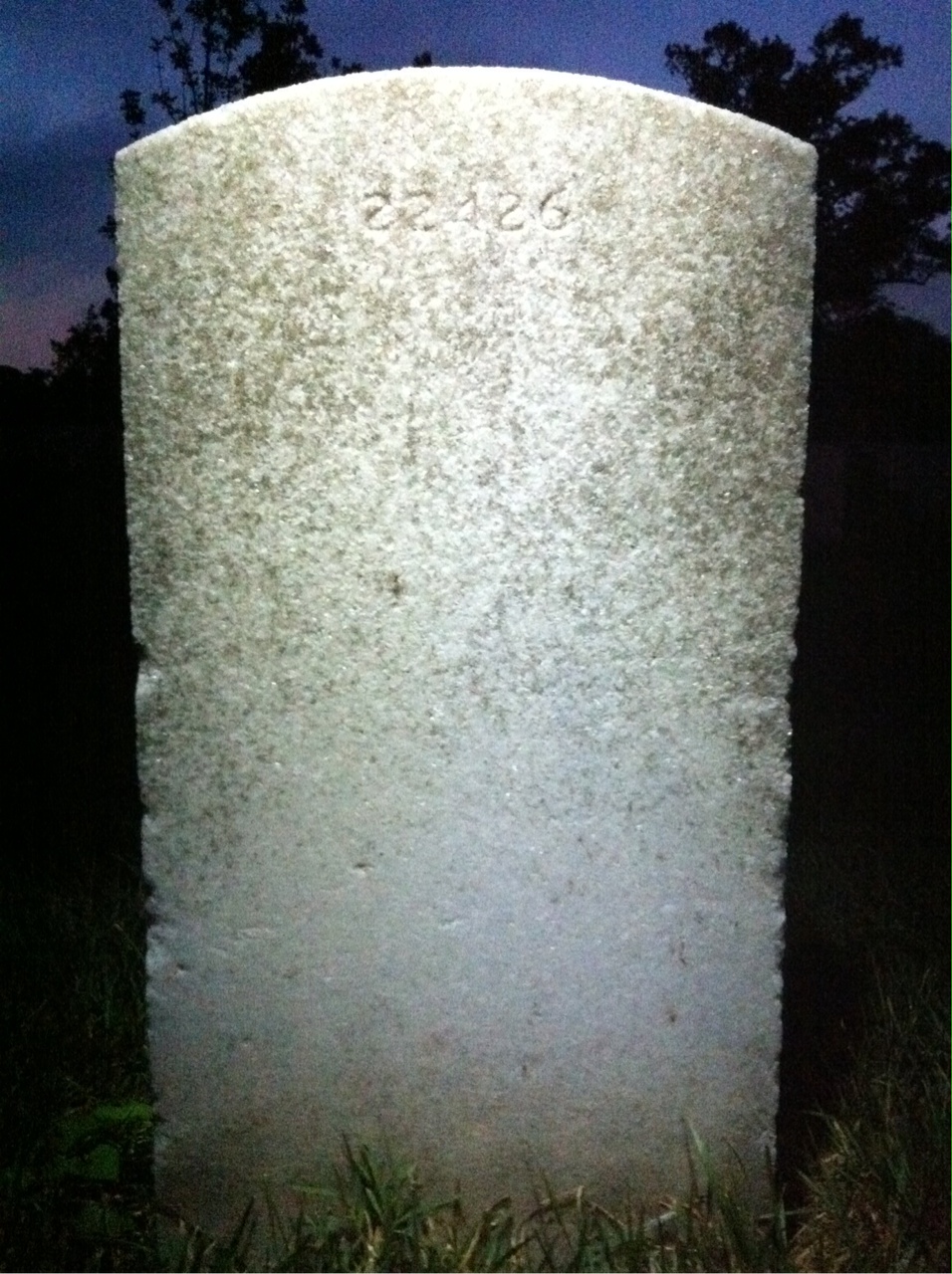 Back of headstone — Franklin Adams