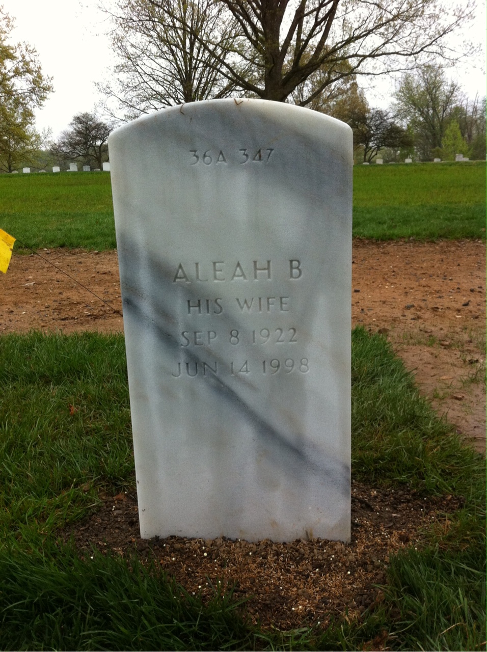Back of headstone — Robert Anderson