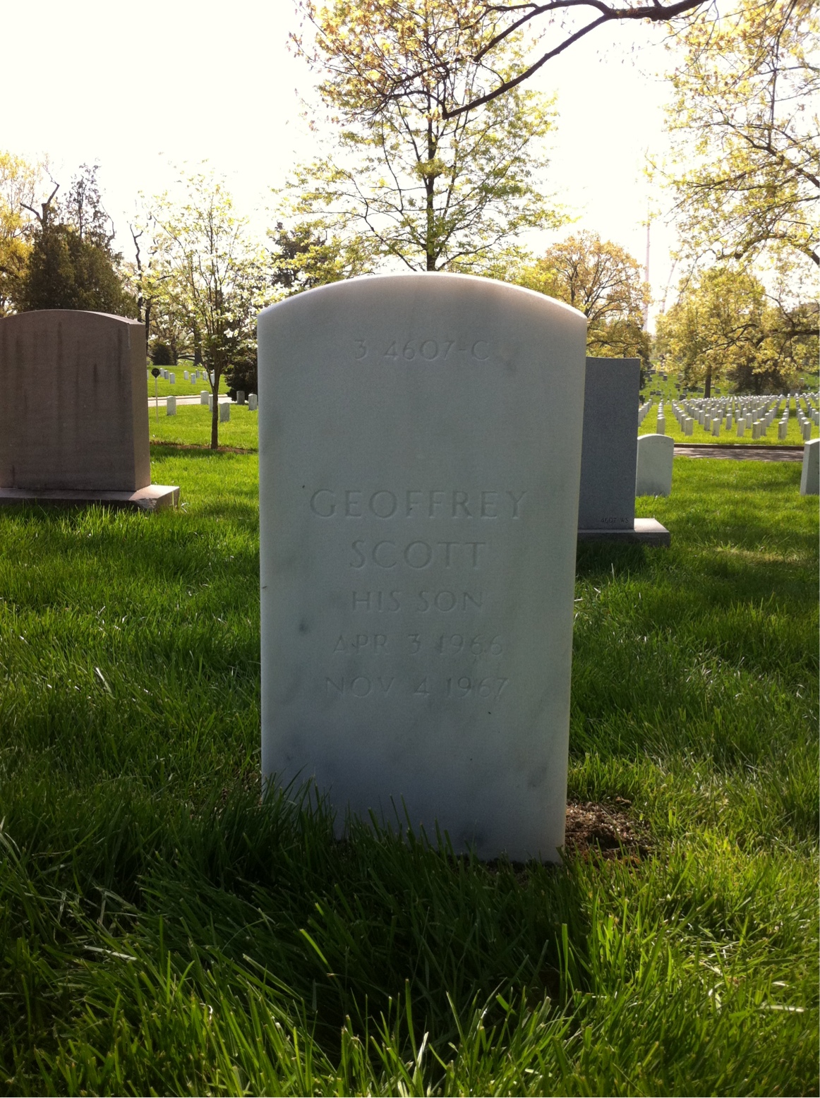 Back of headstone — Peter Hutchisson Schultz