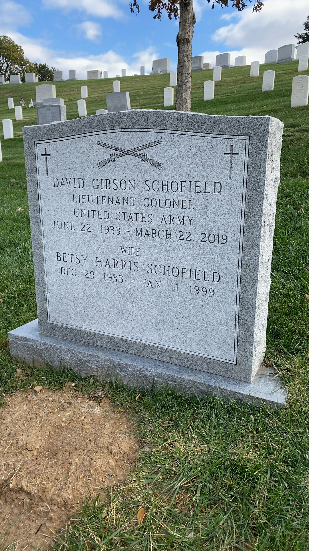 David Gibson Schofield