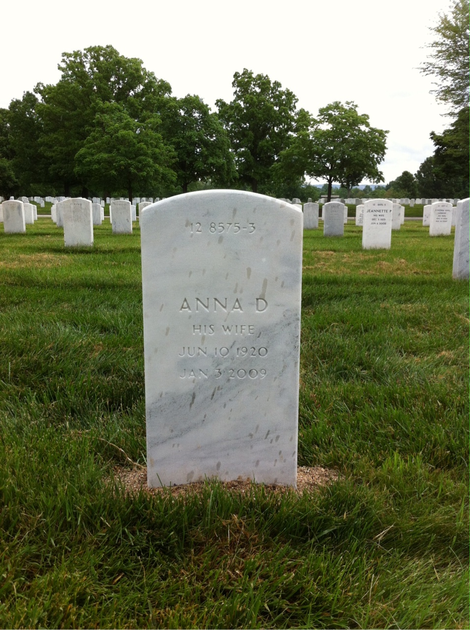 Back of headstone — Jesse Varian