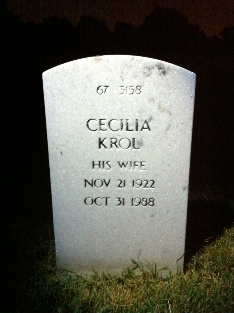 Back of headstone — Cecilia Mulvihill
