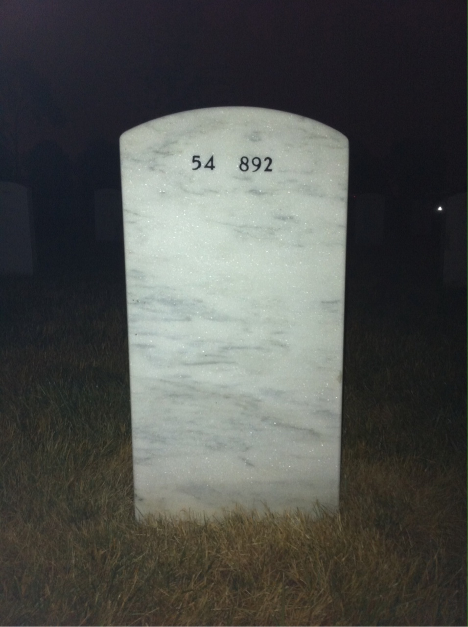 Back of headstone — L David Summers
