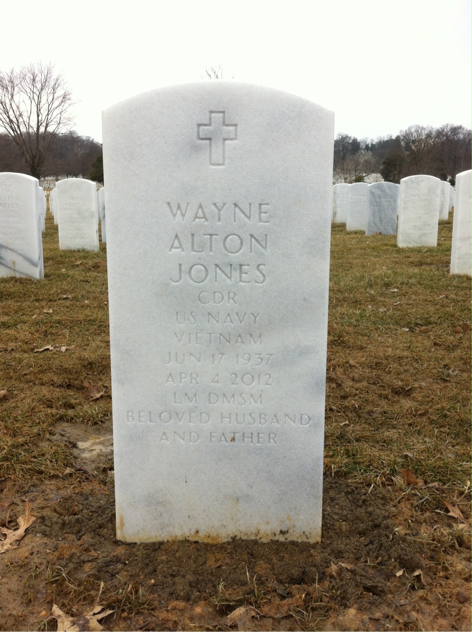 Wayne Alton Jones