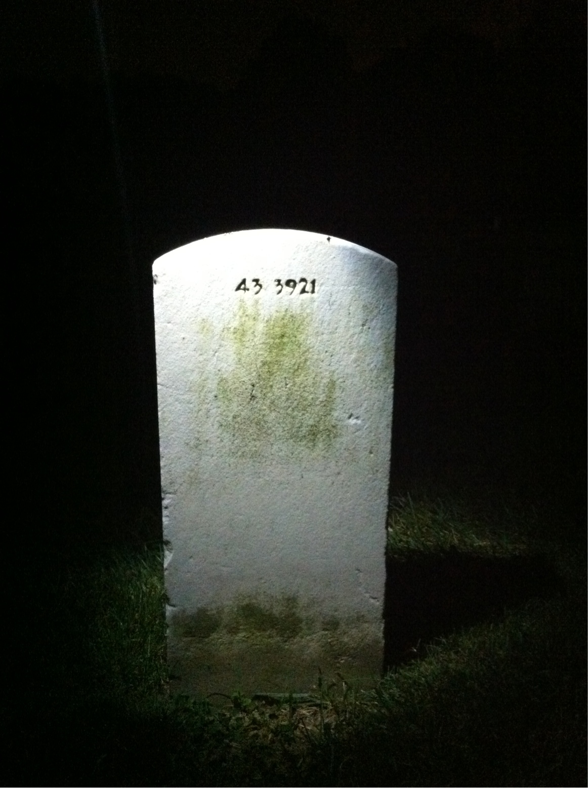 Back of headstone — Frank Murys