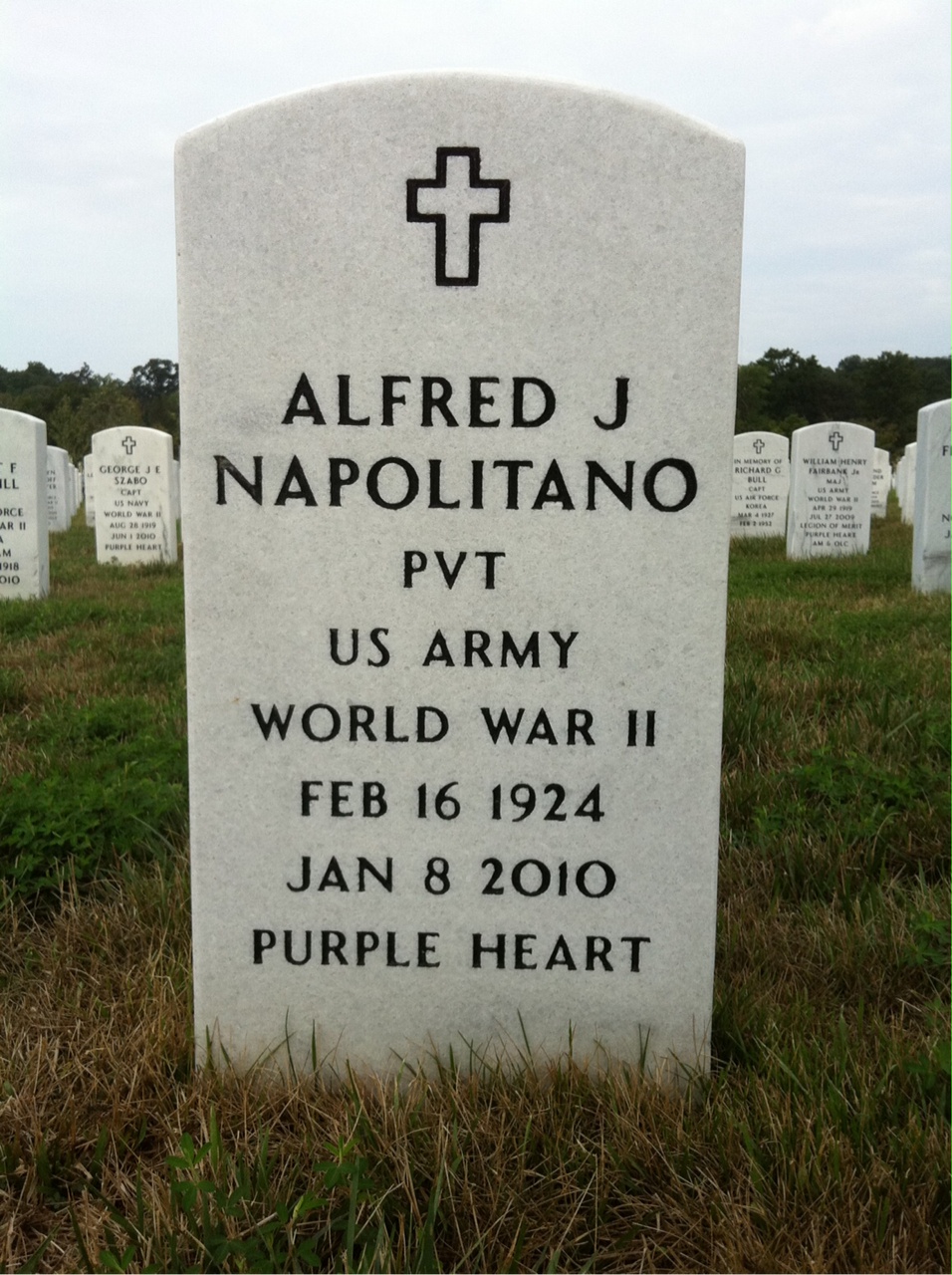 Alfred J Napolitano