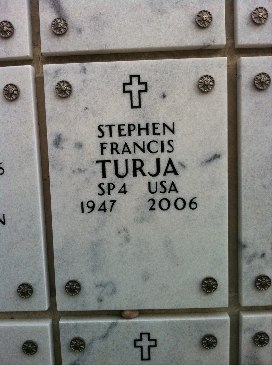 Stephen Turja