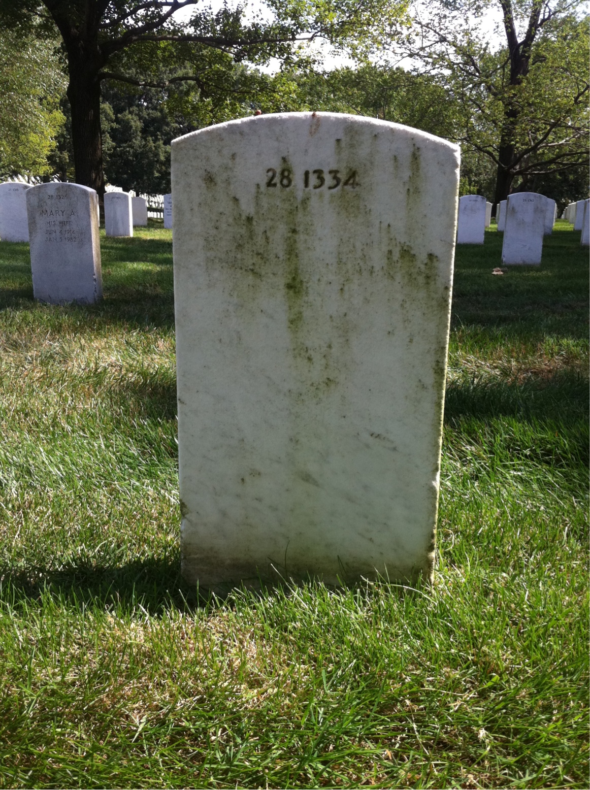 Headstone of Robert Albin Whitted