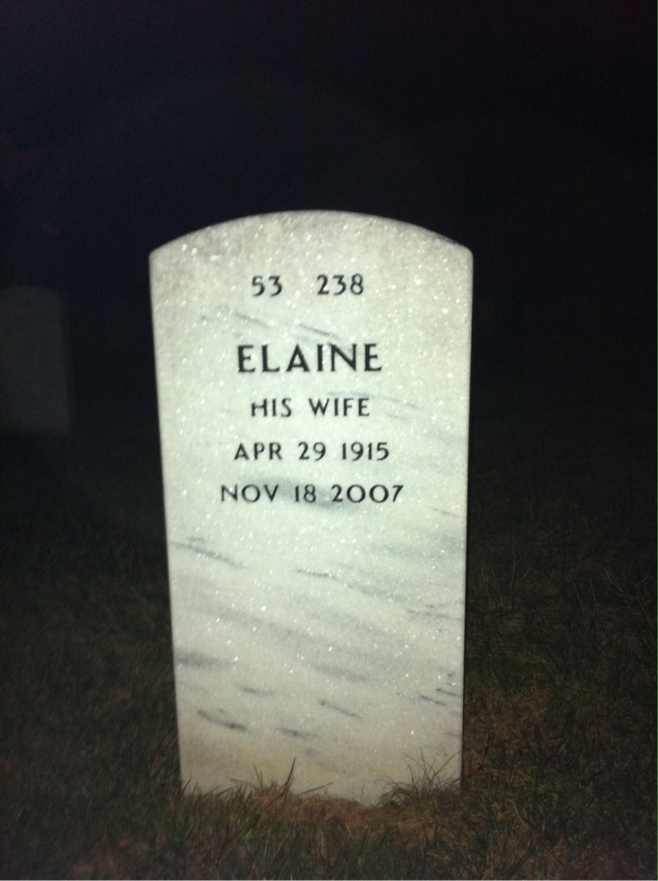 Back of headstone — Wilford Bivens