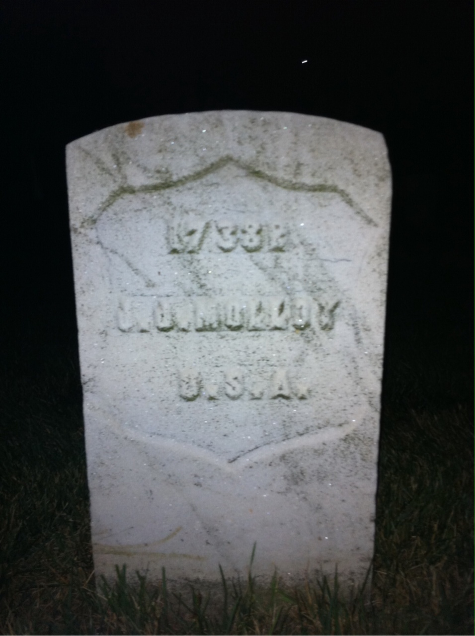 John Molloy