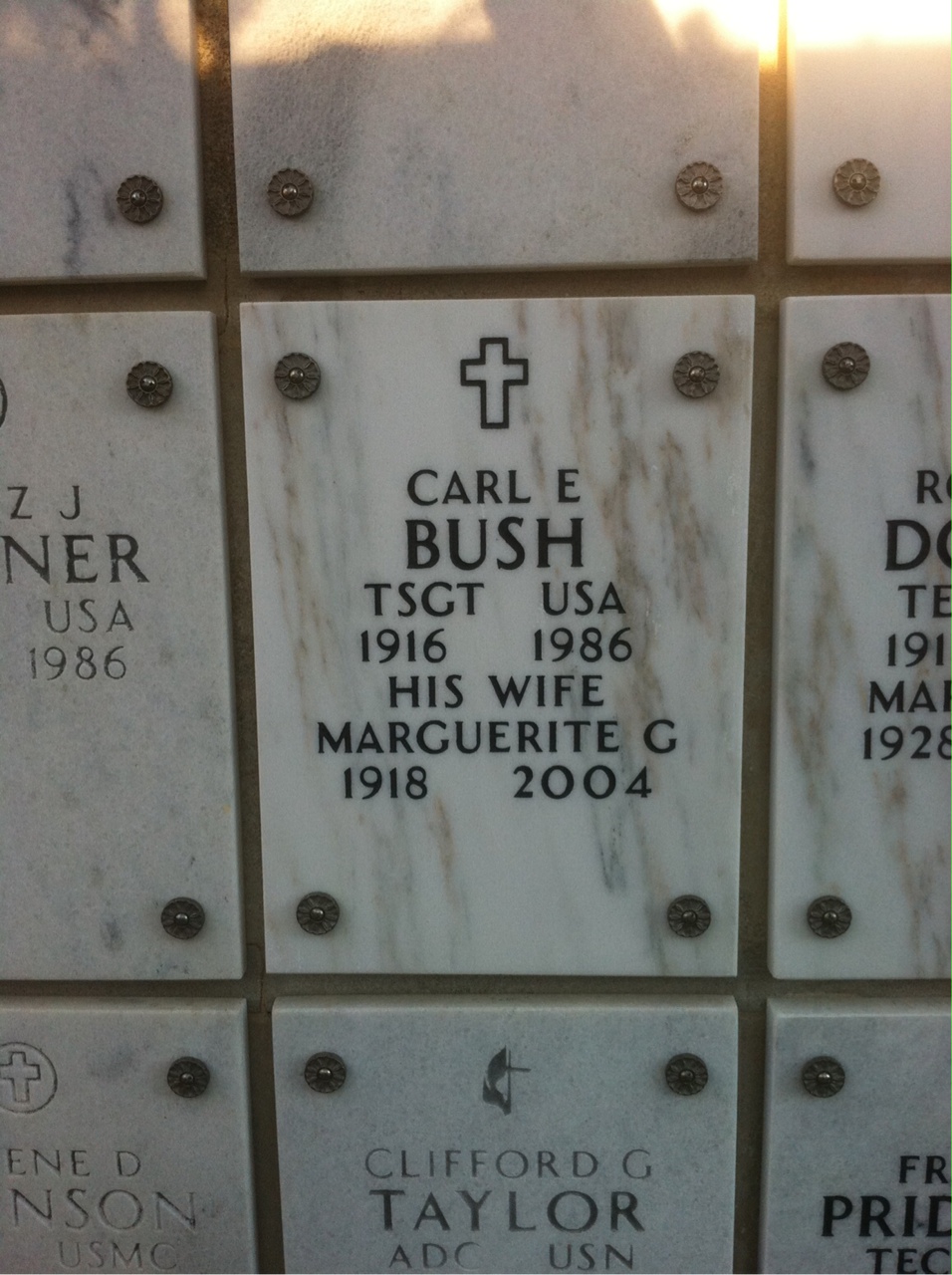 Carl Bush