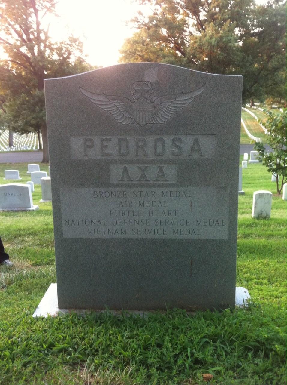 Headstone of Carlos Alberto Pedrosa