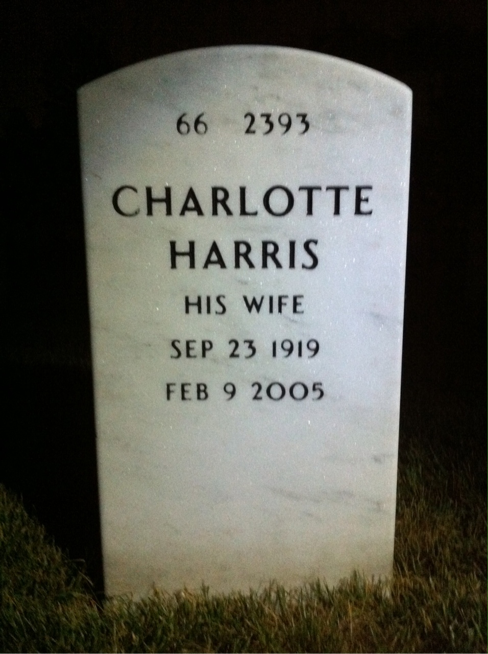 Back of headstone — David Bill