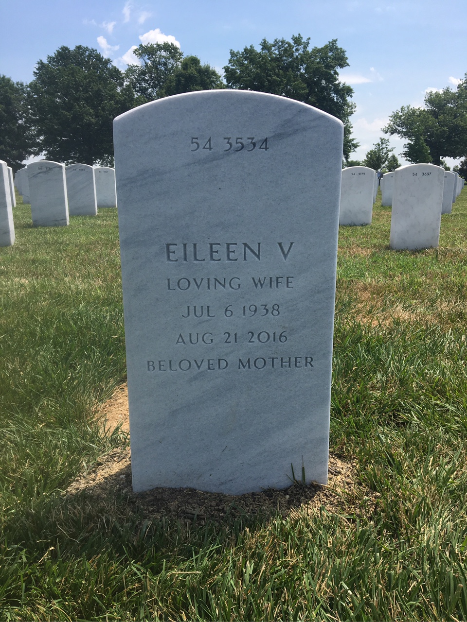 Back of headstone — James Hadley