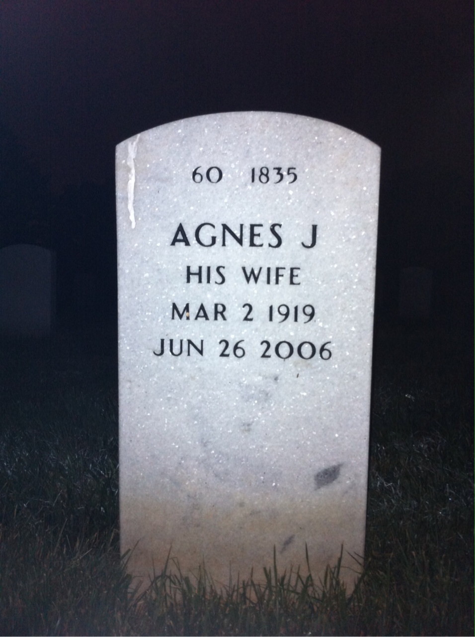 Back of headstone — Albert Matera
