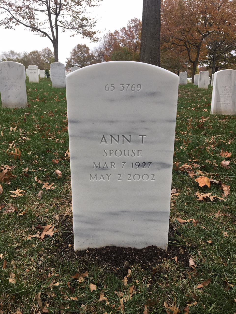 Back of headstone — Roger Milnes