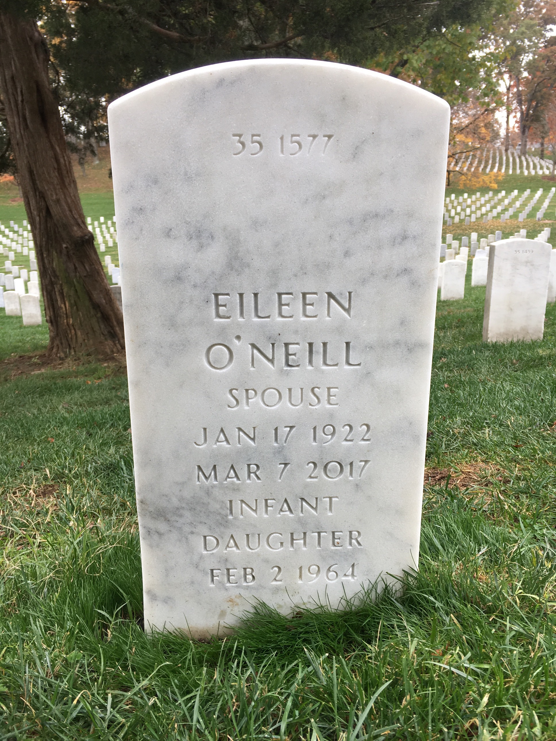 Back of headstone — Robert O'Connor