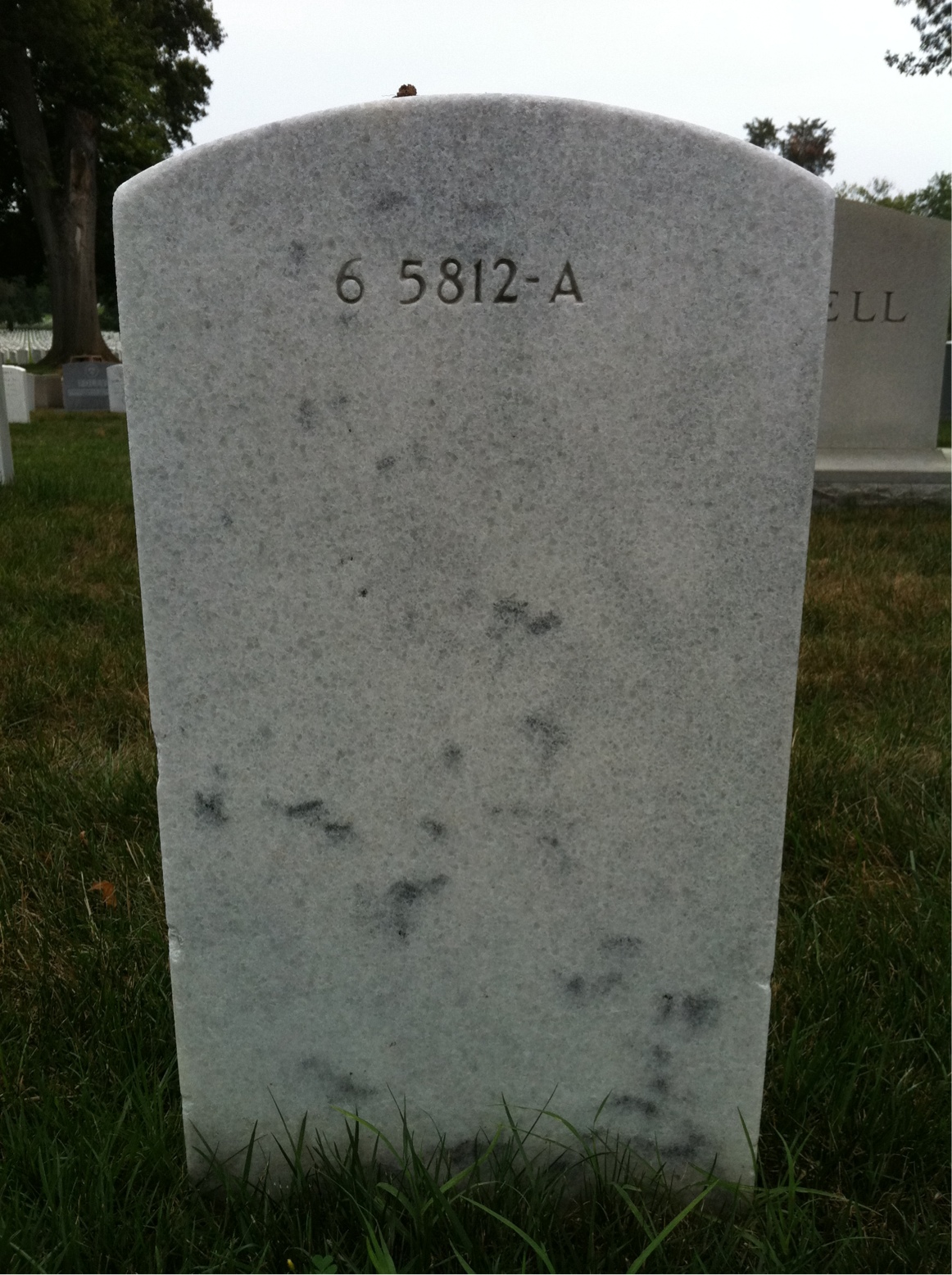 Back of headstone — Marjorie Murray