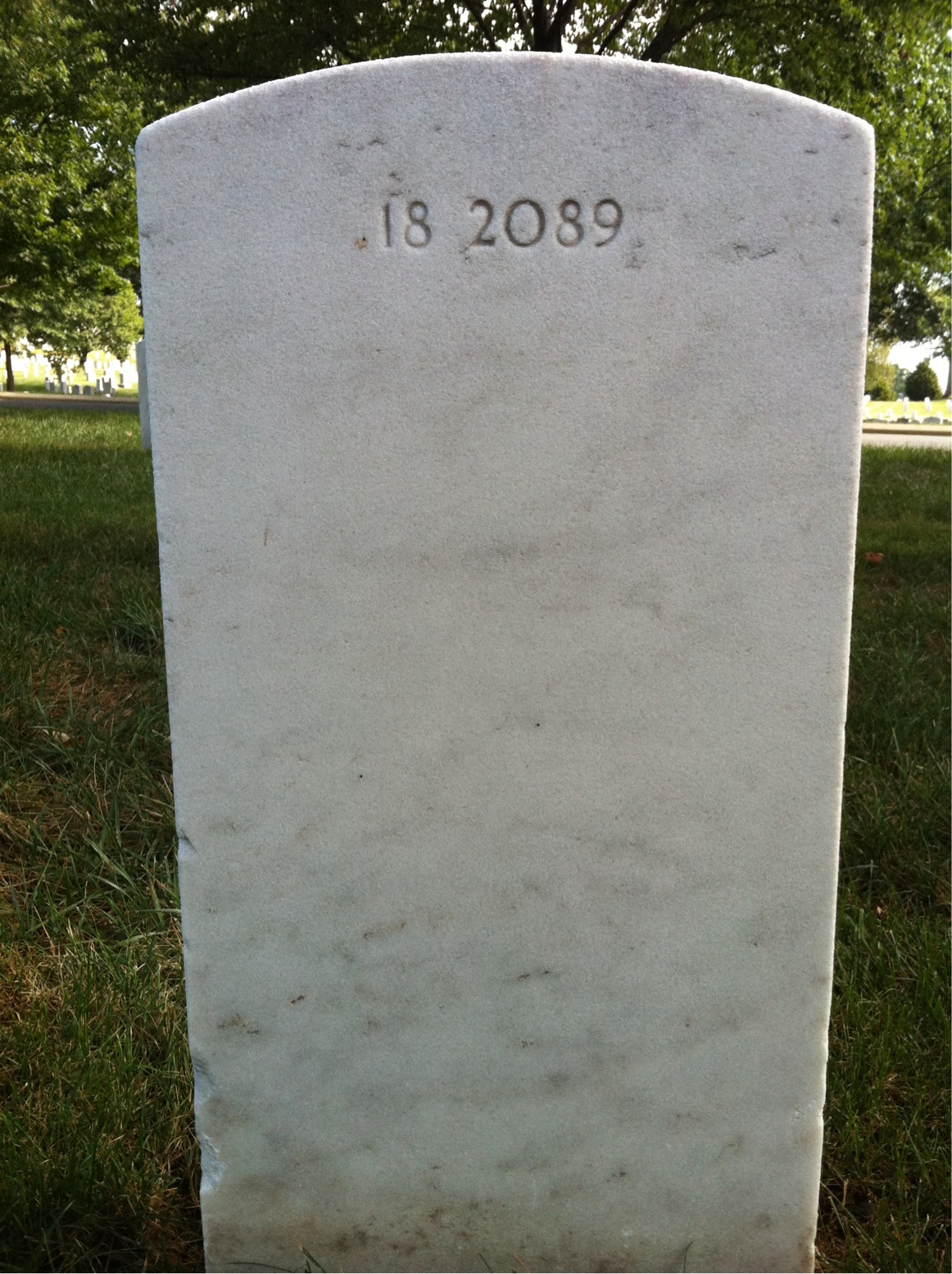 Back of headstone — Luceious Mitchell