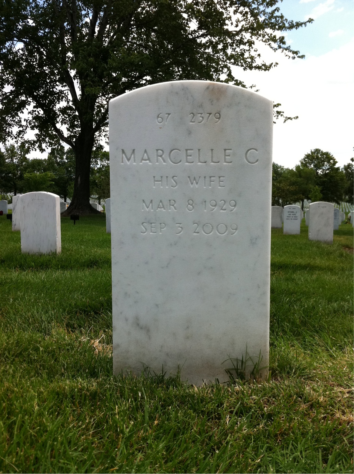 Back of headstone — Alvin Steinberg