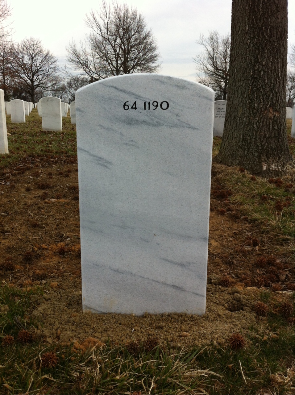 Back of headstone — Thomas Michael Williams