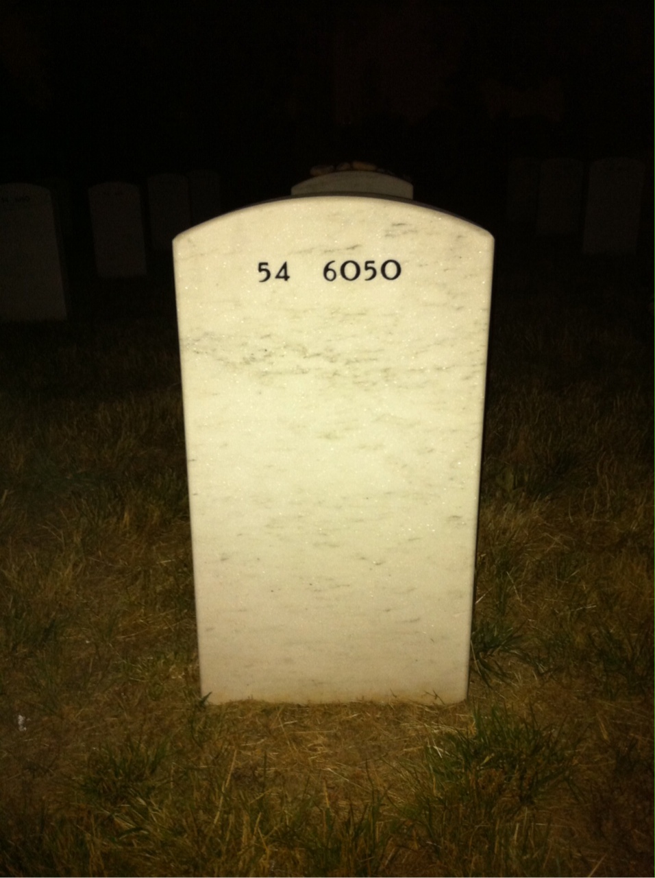 Back of headstone — Francis Erwin