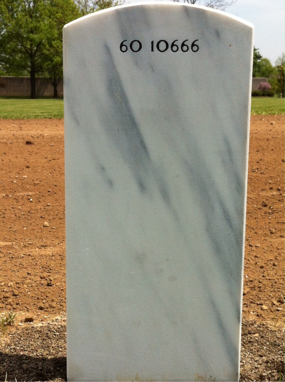 Back of headstone — Tomiwo Adrian Suzuky