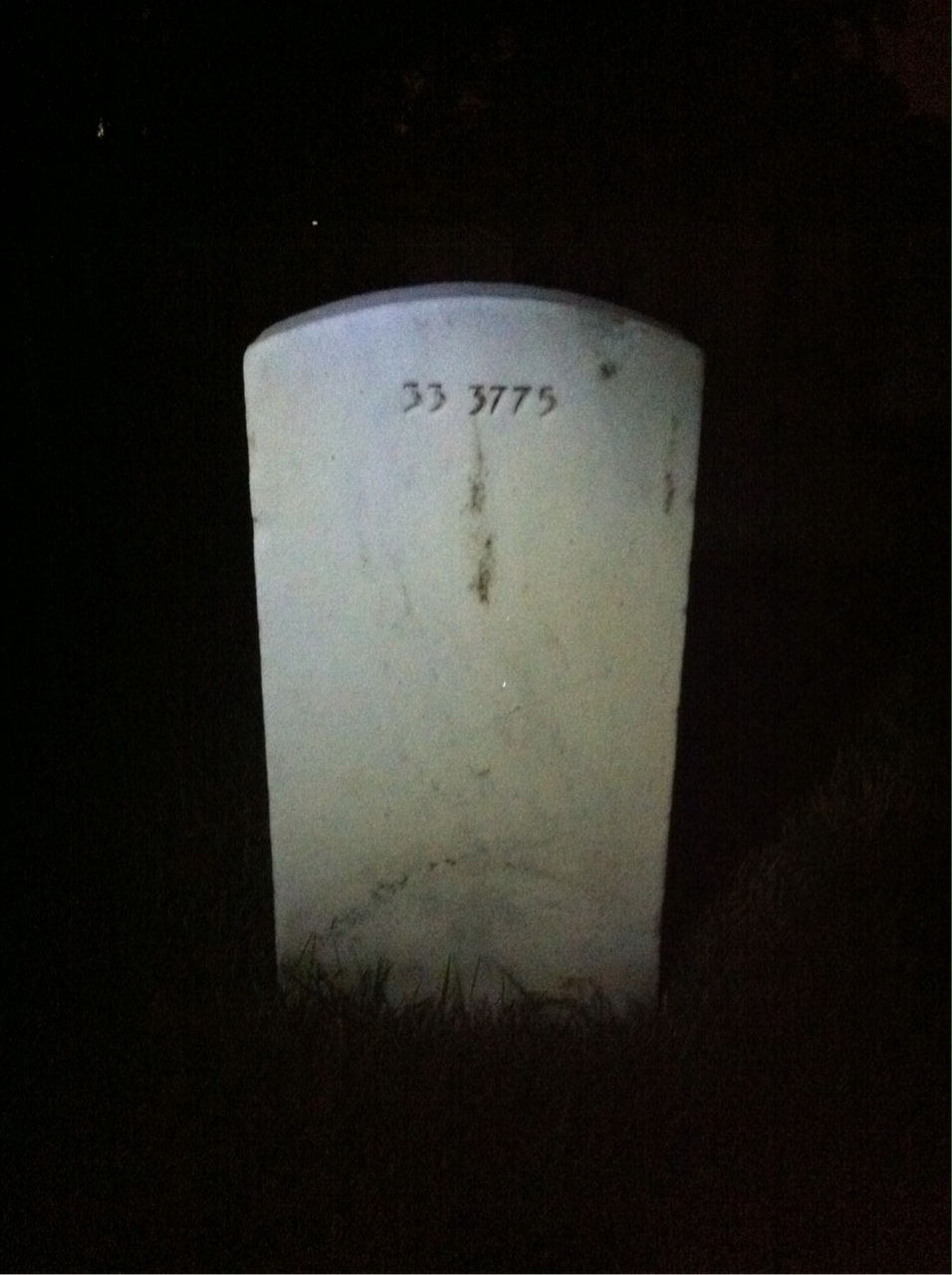 Back of headstone — Charles Alt