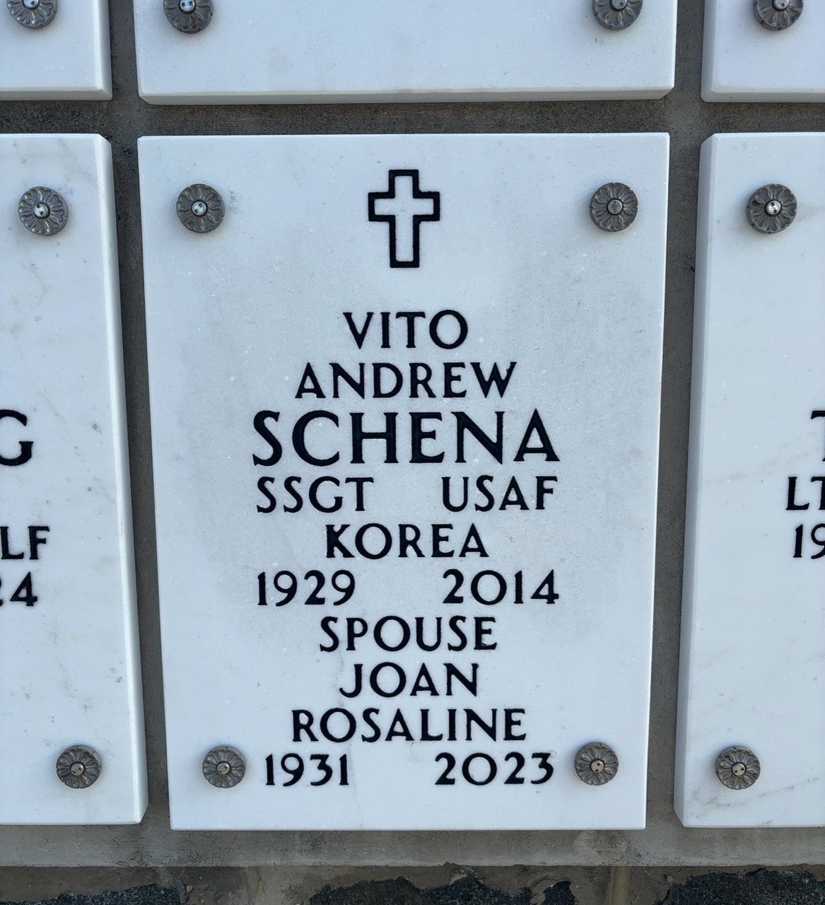 Vito Andrew Schena