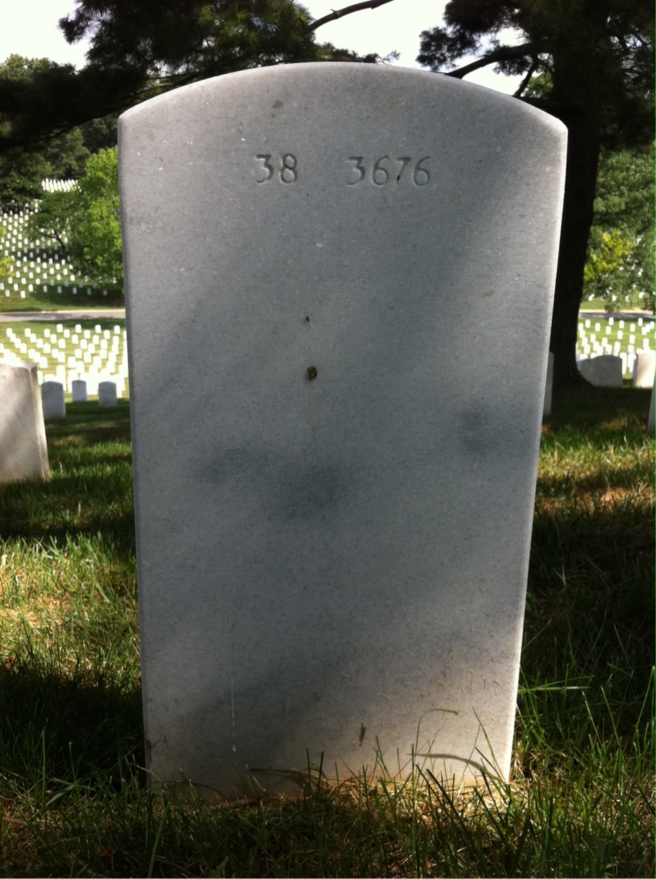 Back of headstone — Franklin Mcgill