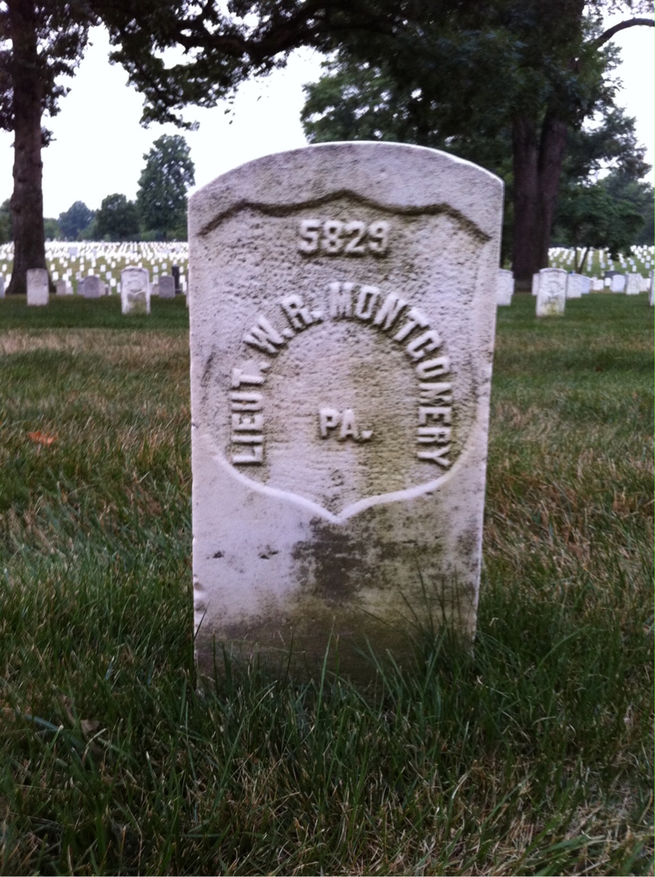 William Montgomery