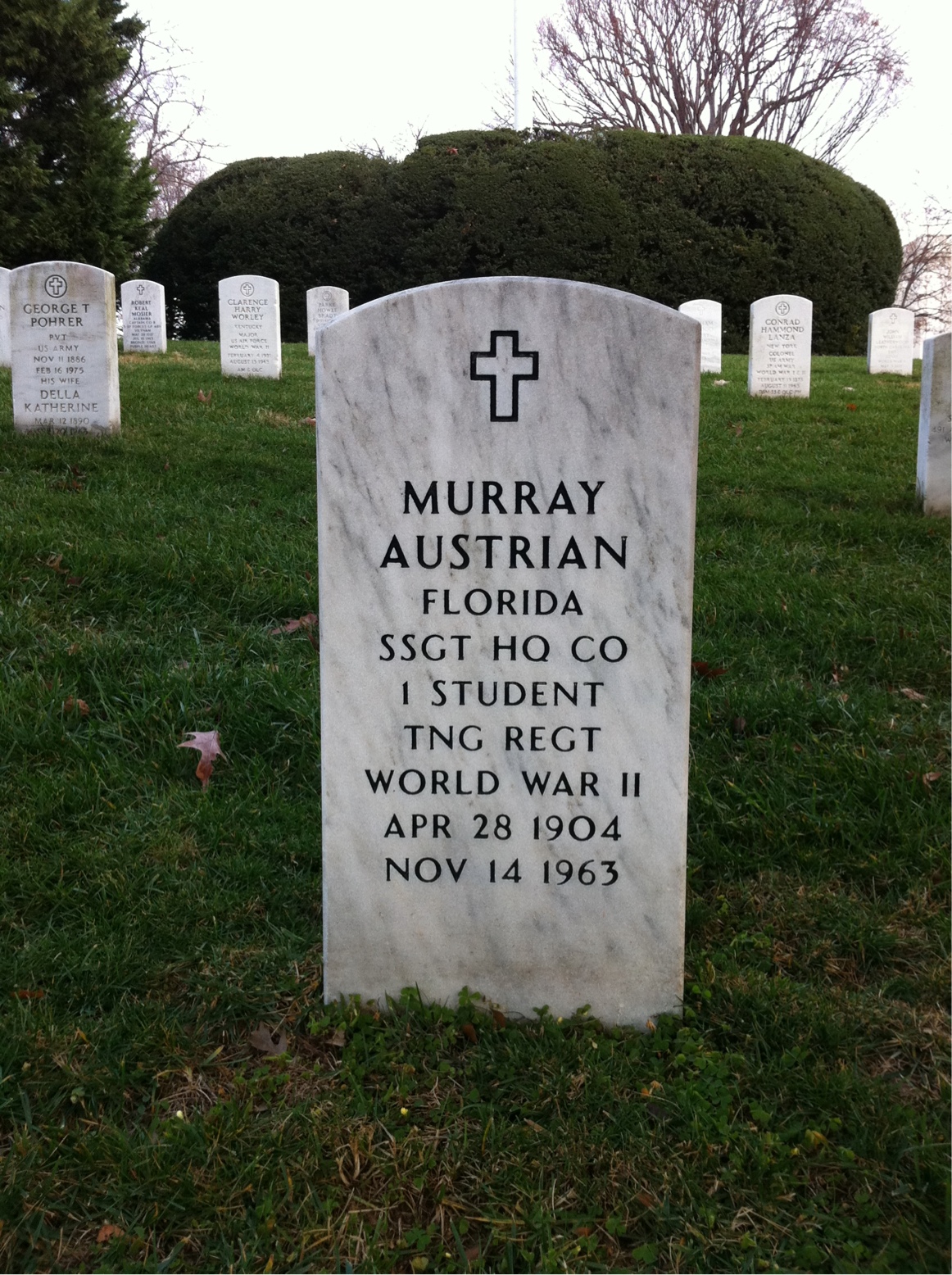 Murray Austrian