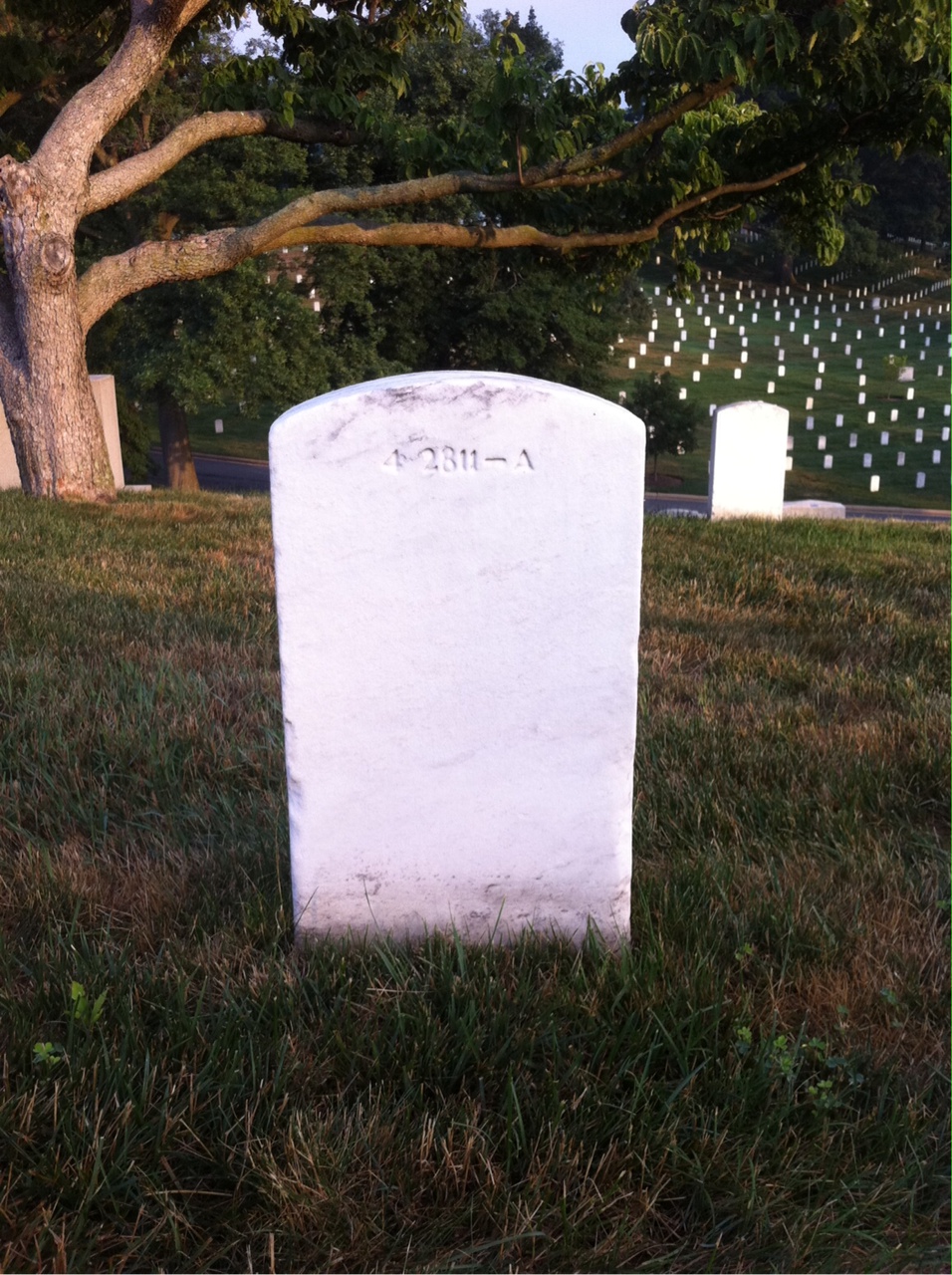 Back of headstone — Mae Bausch