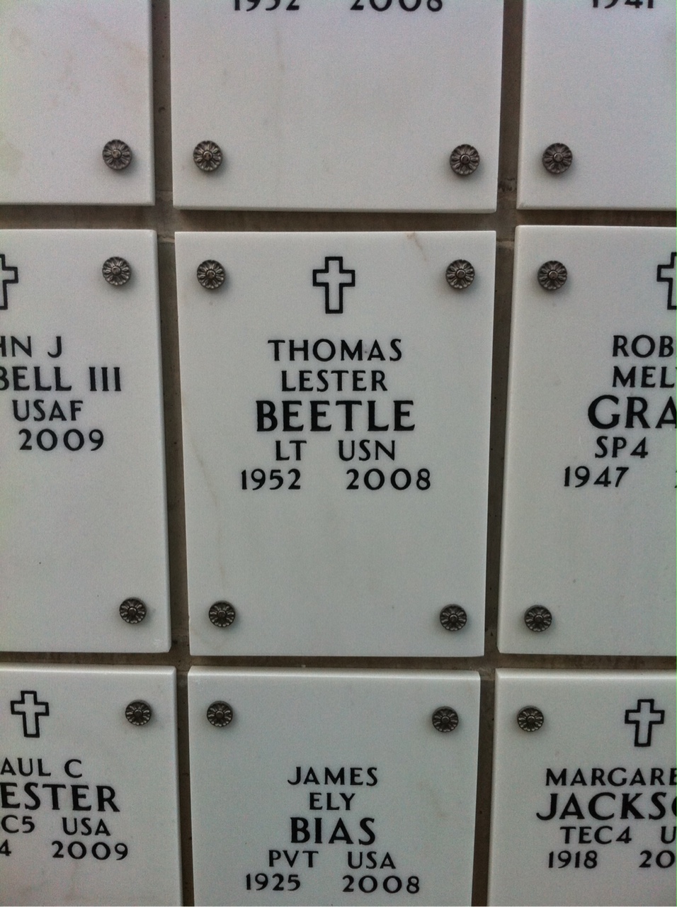 Thomas Beetle