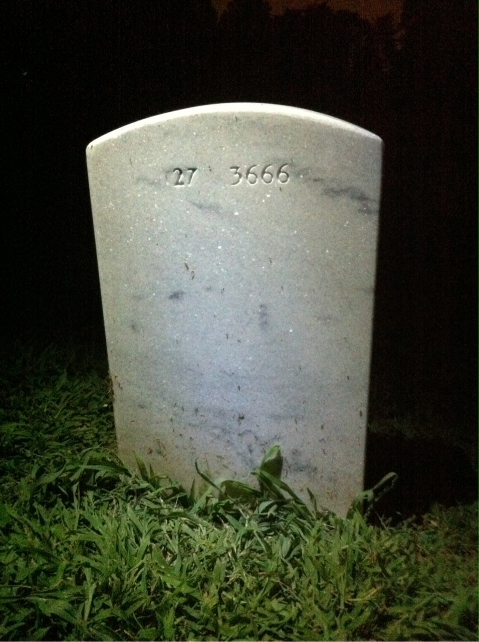 Back of headstone — C Morton
