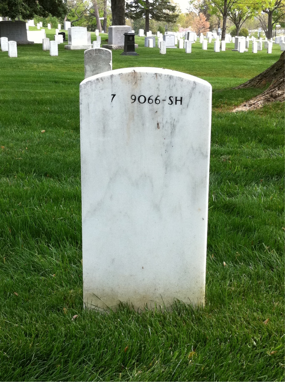 Back of headstone — Lillian Murray