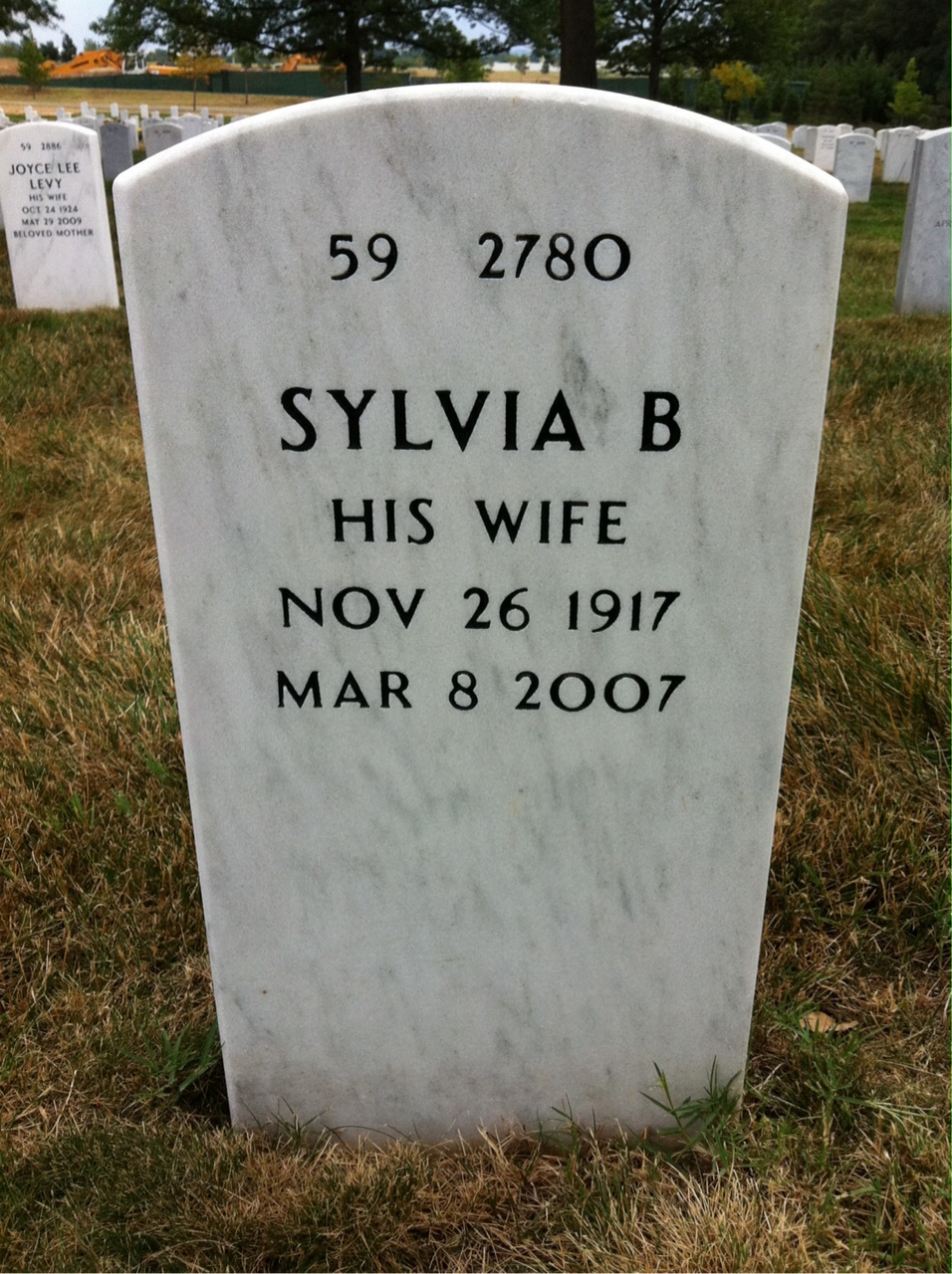 Back of headstone — Lewis Frizell