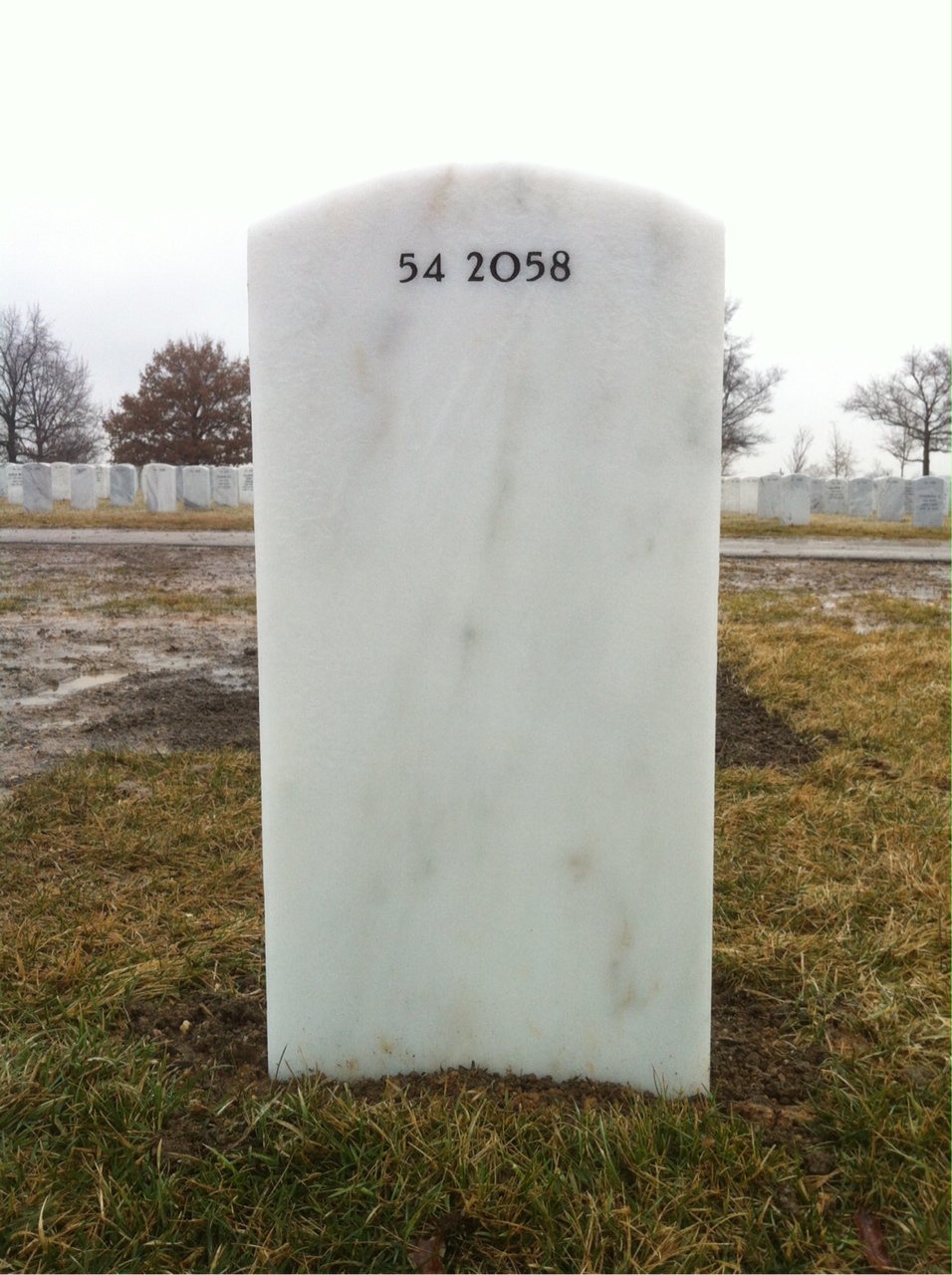 Back of headstone — William Francis Macvicar