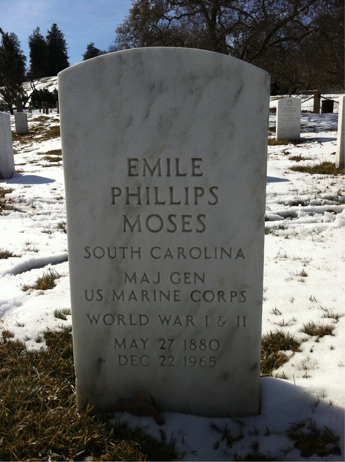 Carolyn Moses