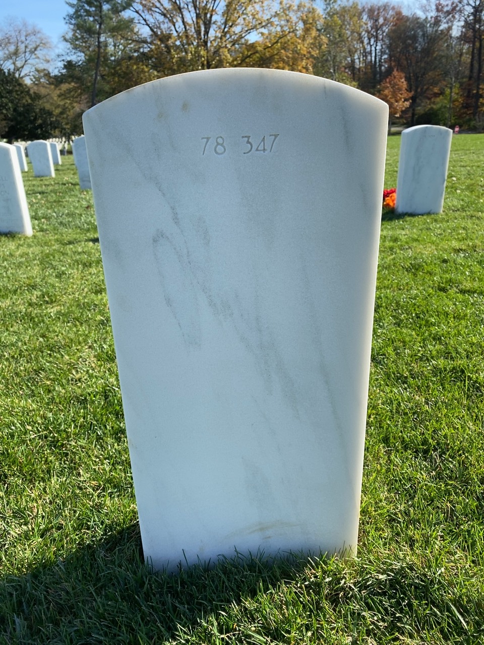 Back of headstone — Thomas W Light