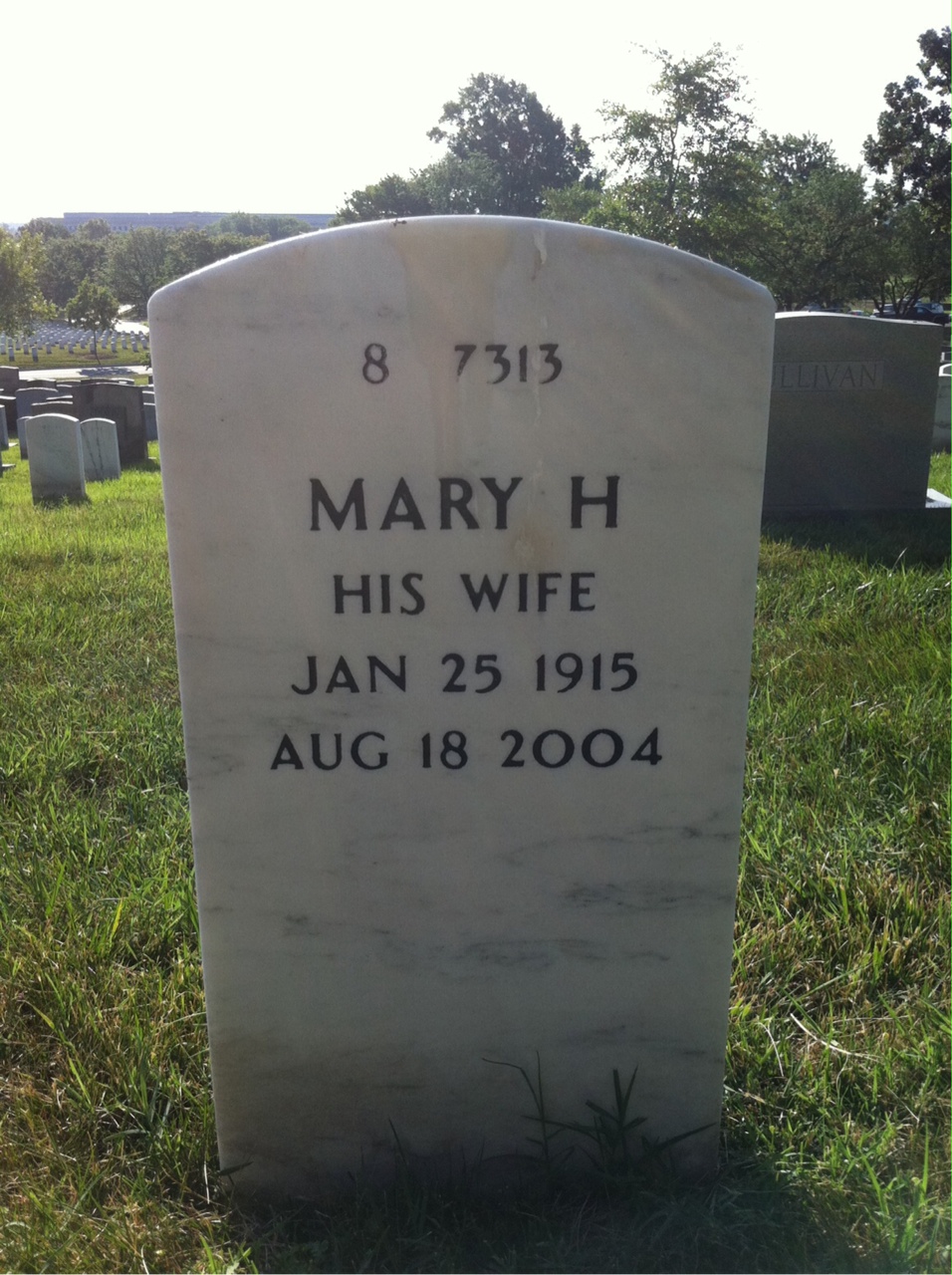 Back of headstone — Theodore Williams