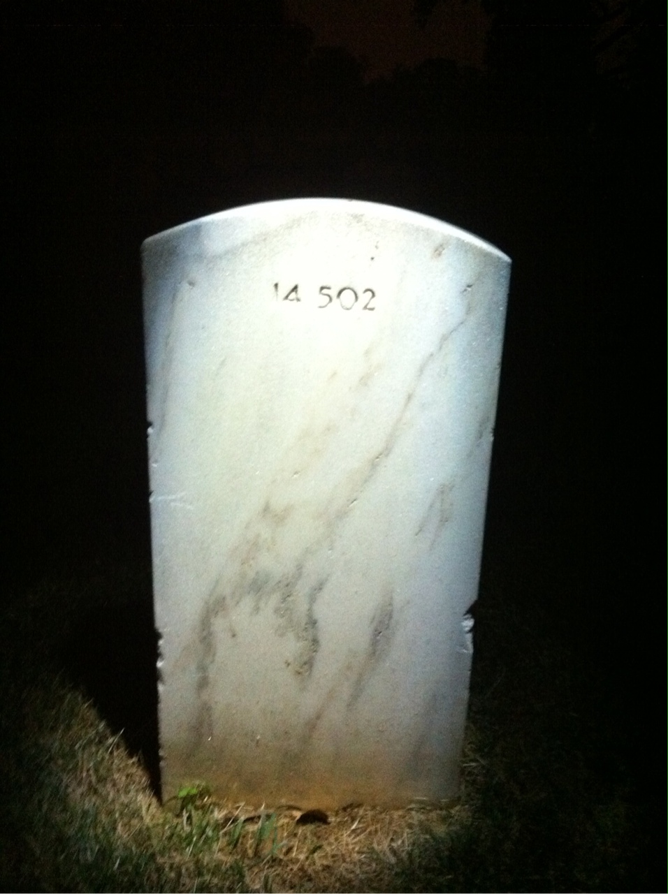 Back of headstone — Thomas Alvis