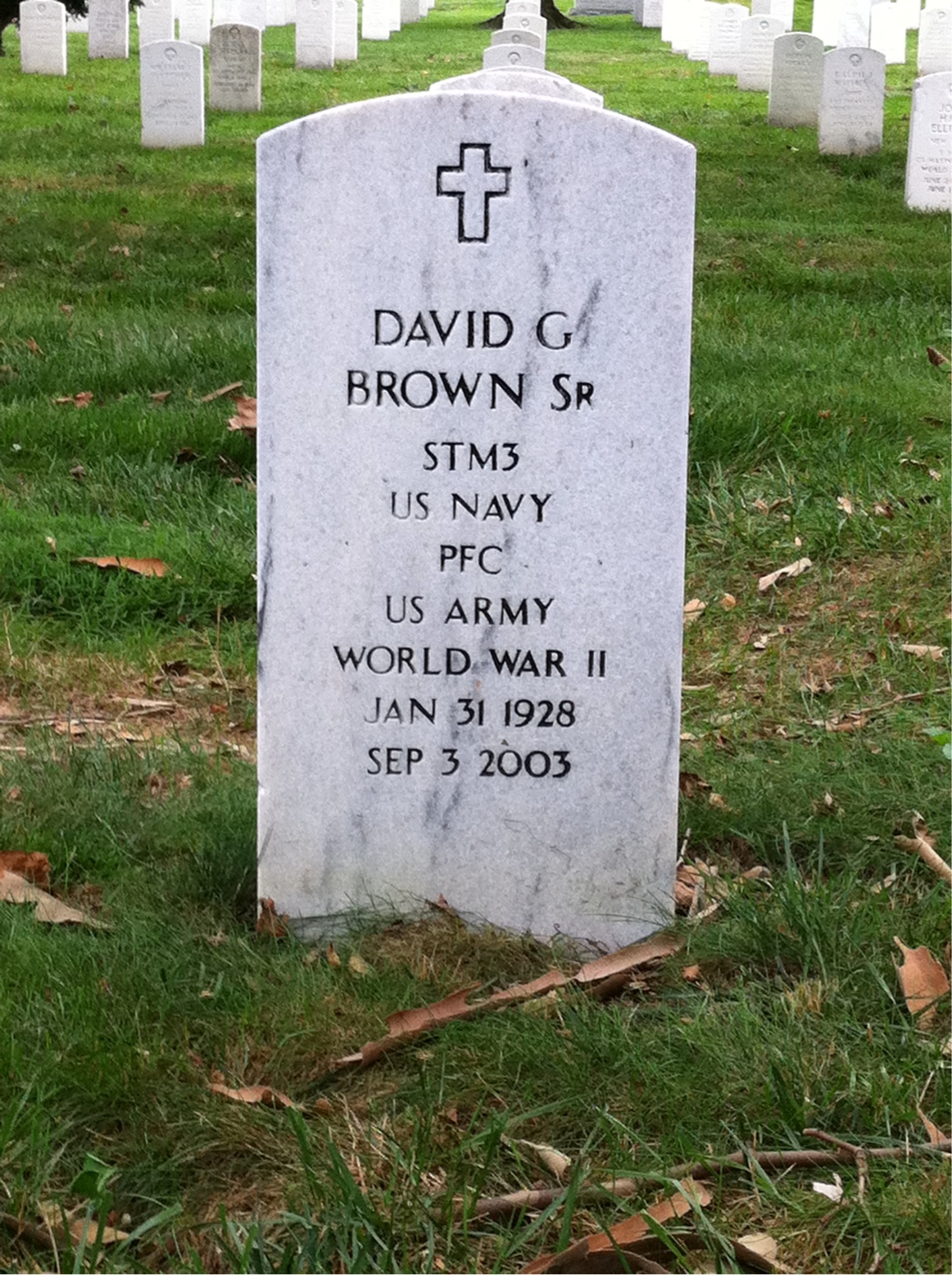 David Brown
